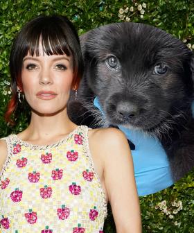 'Ruined My Life': Lily Allen Reveals The Appalling Reason Why She Got Rid Of Her Dog